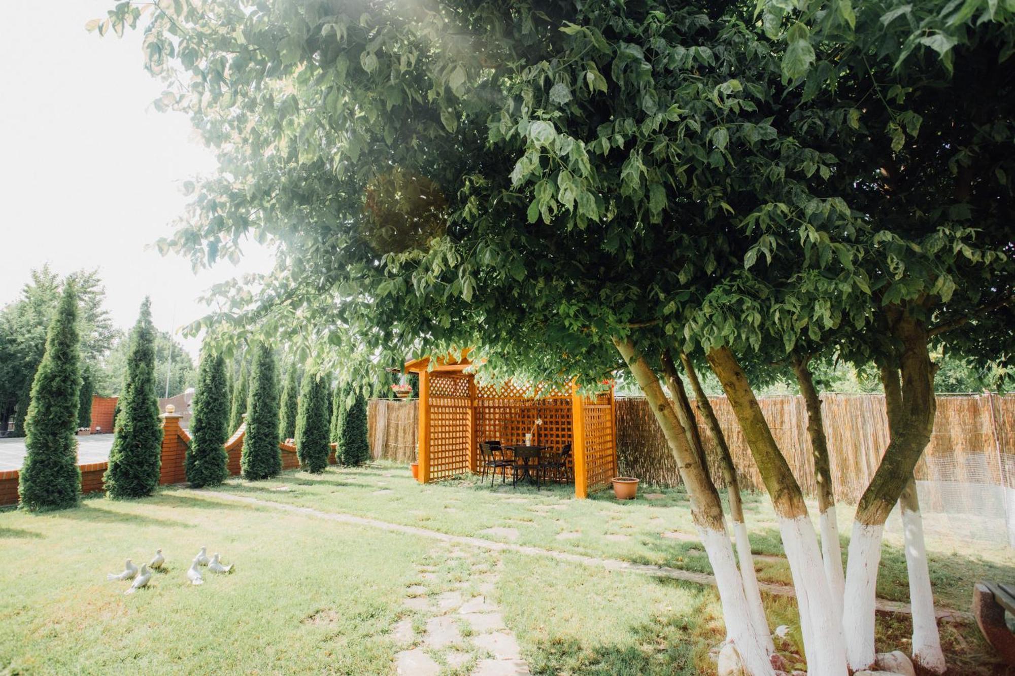 Villa Fenix Berehove  Εξωτερικό φωτογραφία