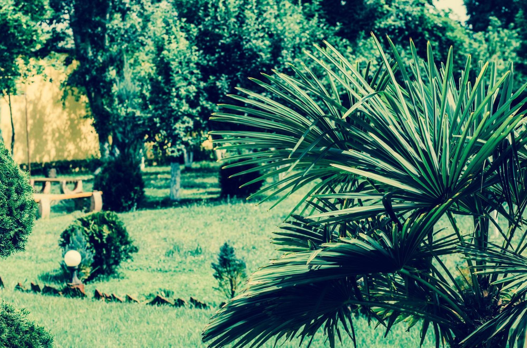 Villa Fenix Berehove  Εξωτερικό φωτογραφία
